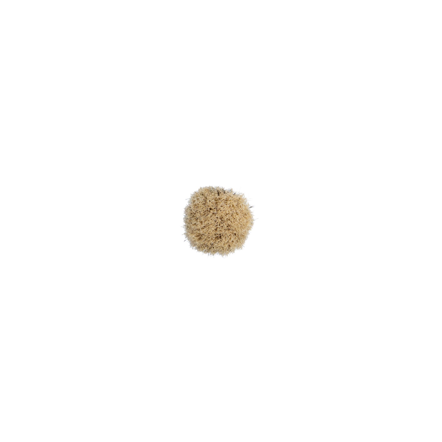 Boar Hair Shaving Brush
